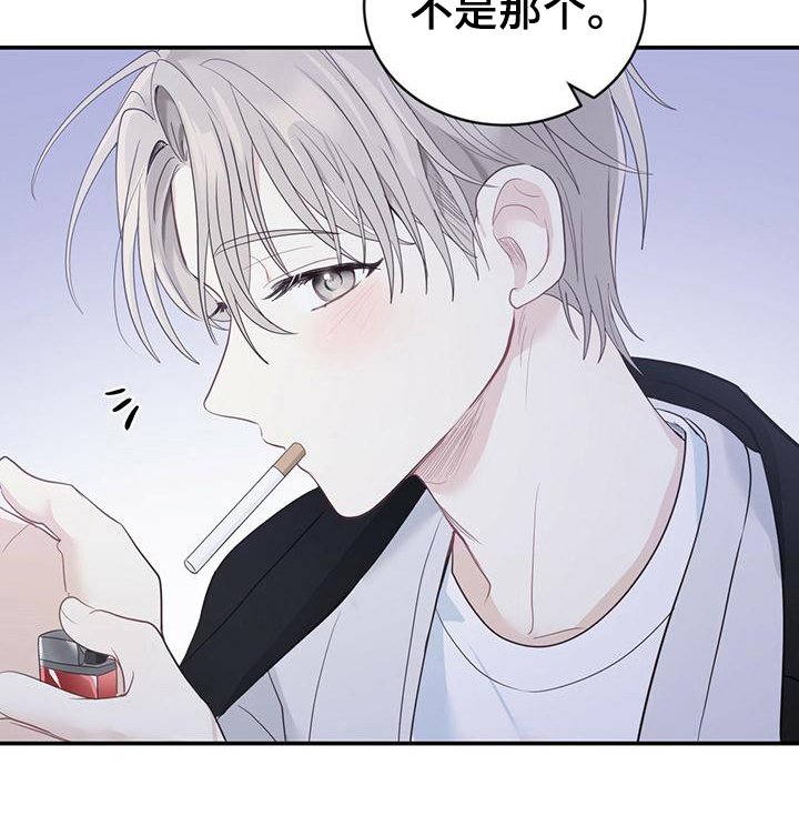 第26章：信息素