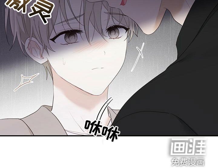 第37章：好奇心