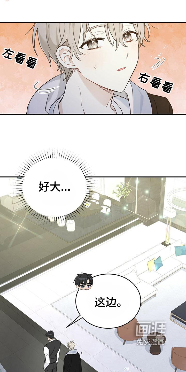 第4章：带回家