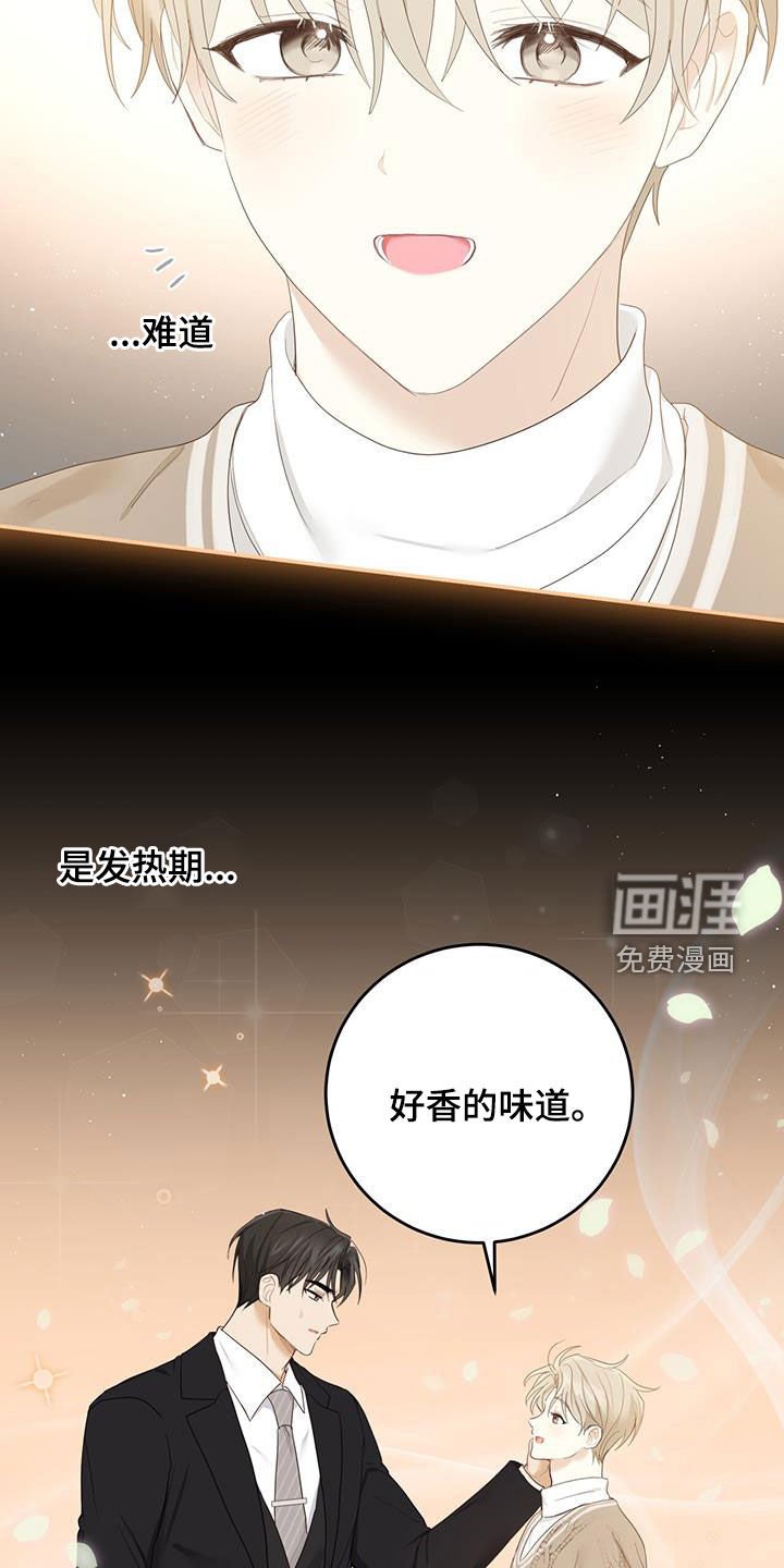 第45章：信息素的味道
