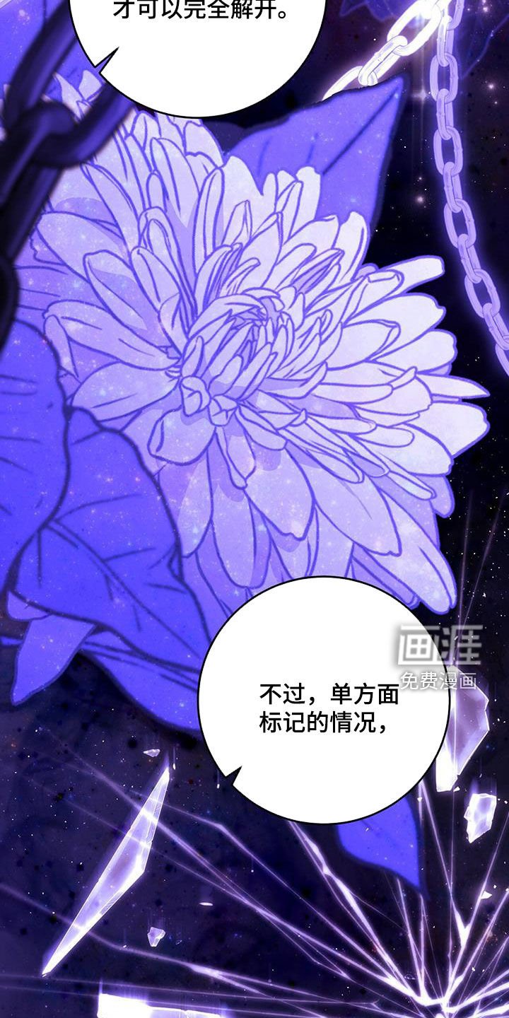 第48章：枷锁