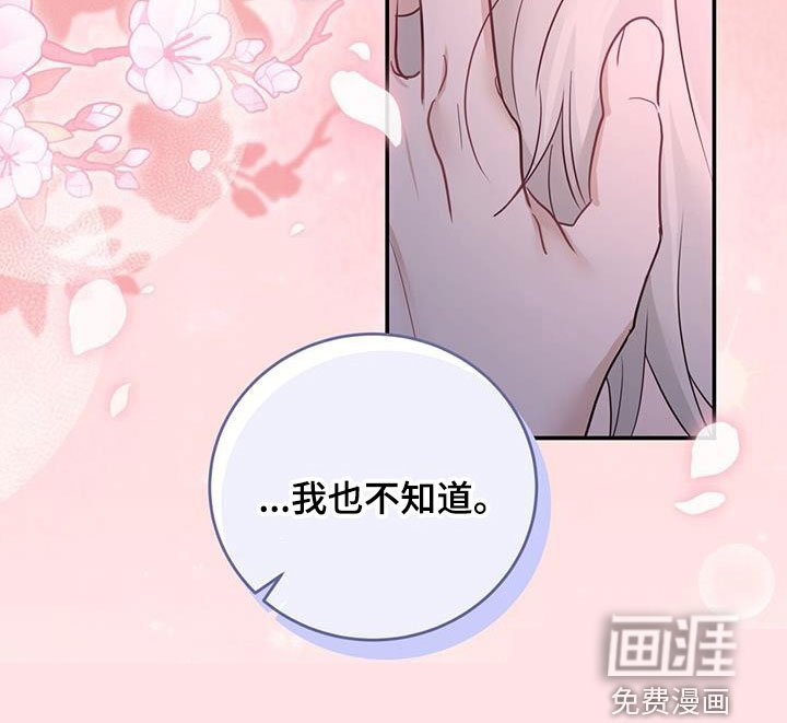 第51章：喜欢的理由