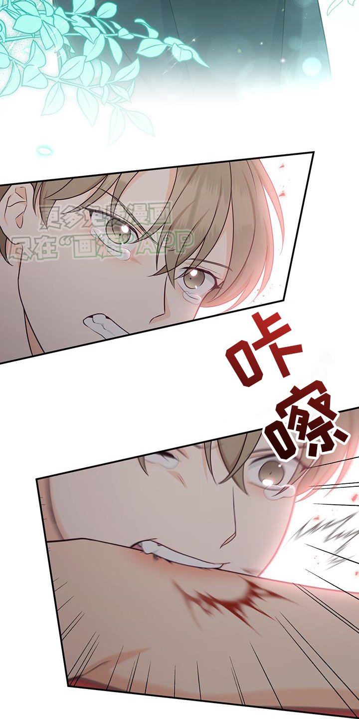第71章：【第二季】离去