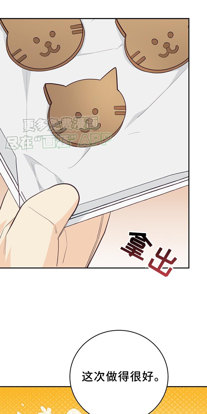 第82章：【第二季】大学