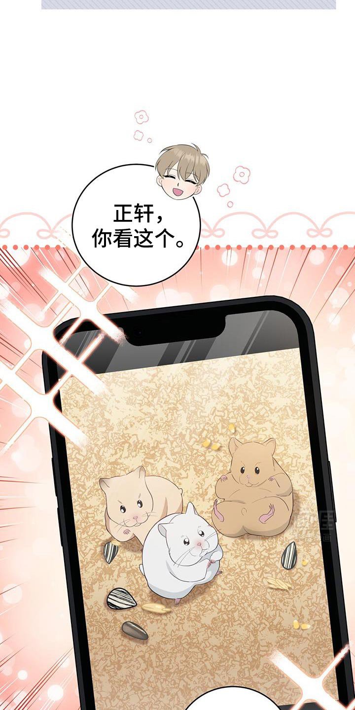 第85章：【第二季】挑选礼物