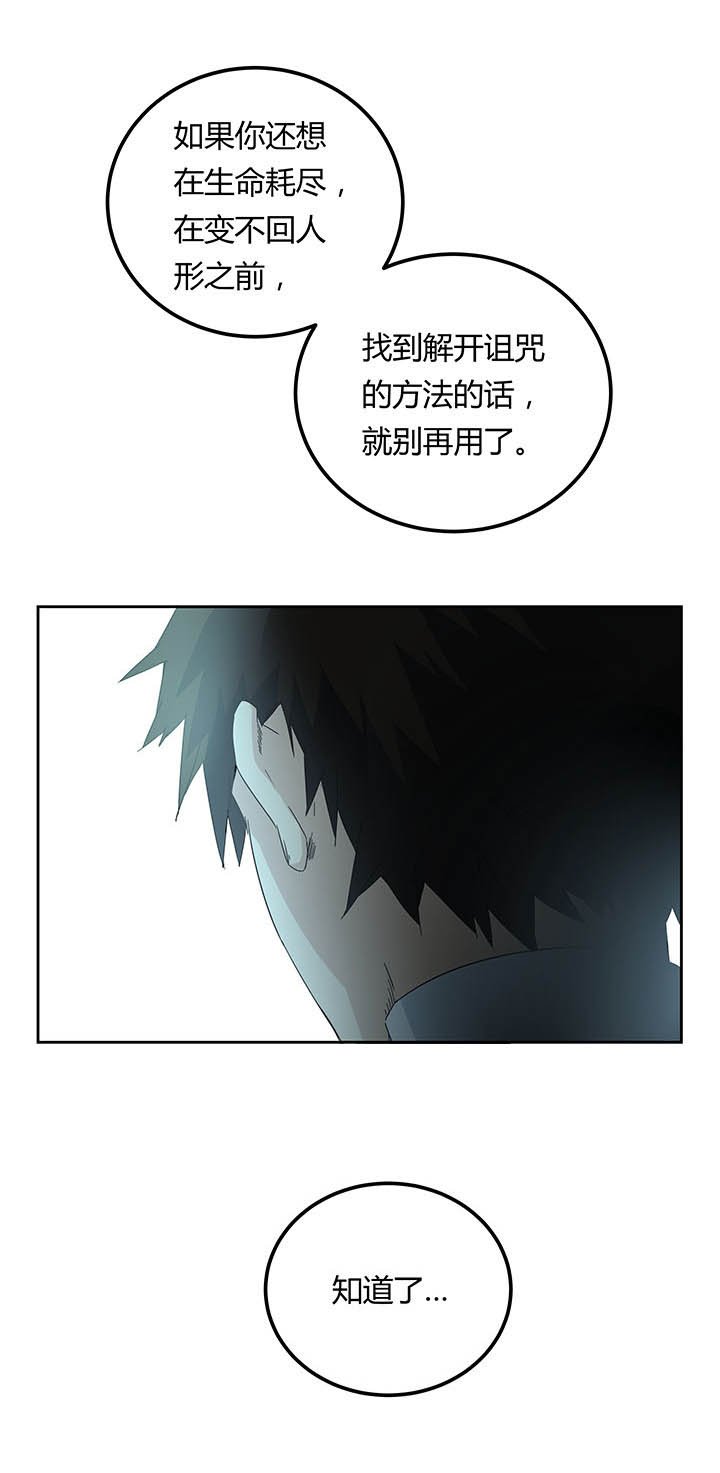 第15章：