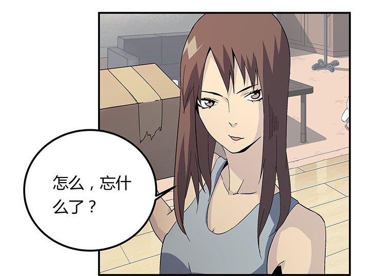 第19章：