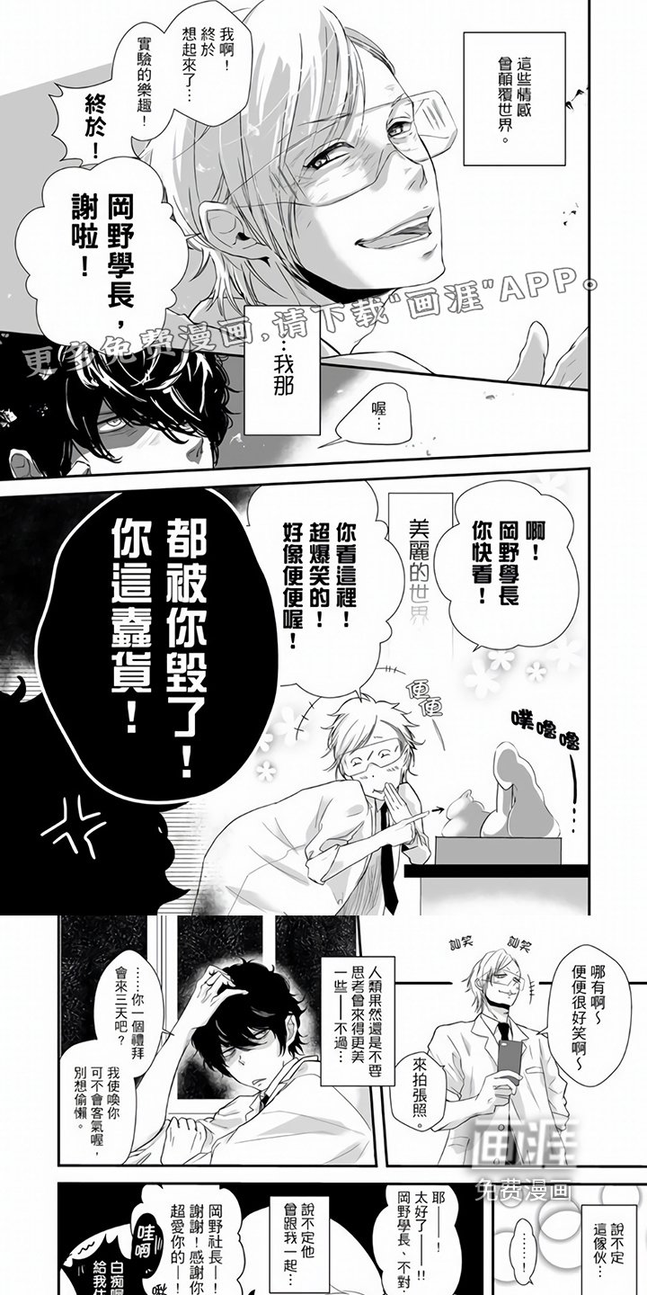 第4章：顾问