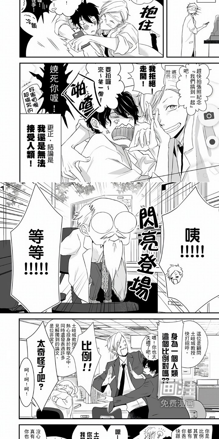 第4章：顾问