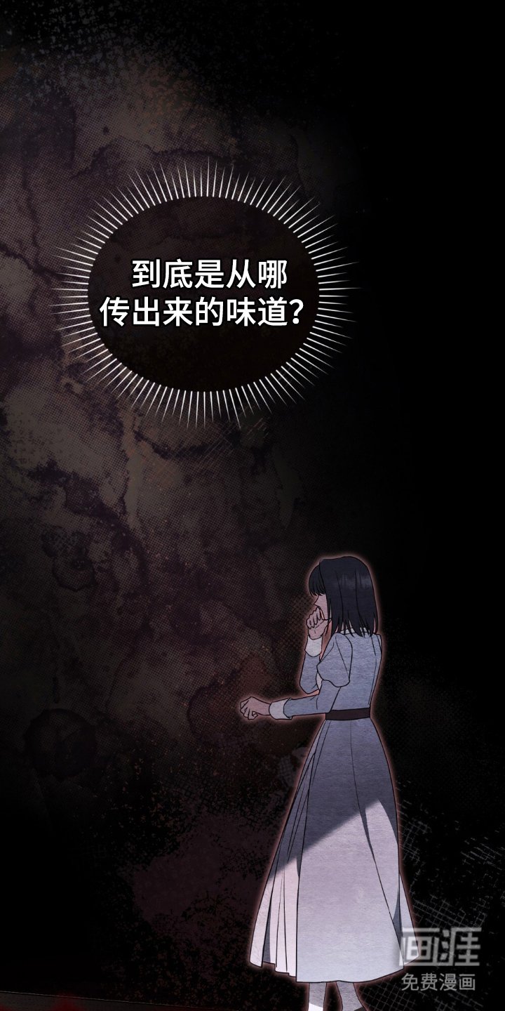 第12章：利用这个