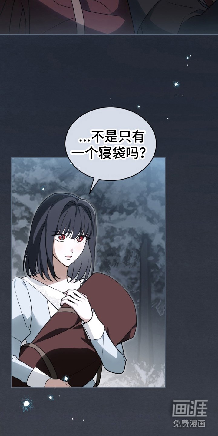 第12章：利用这个