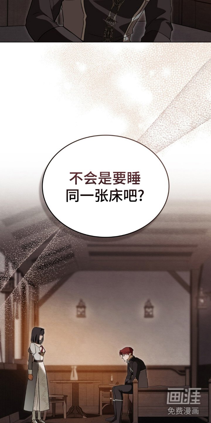 第13章：理想型