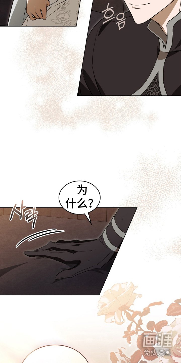 第13章：理想型