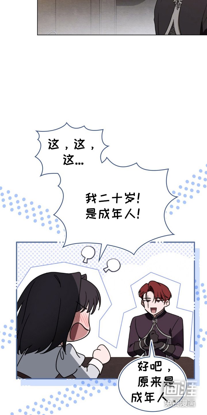第13章：理想型