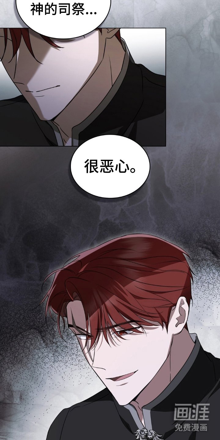 第13章：理想型
