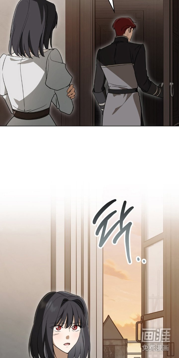 第13章：理想型