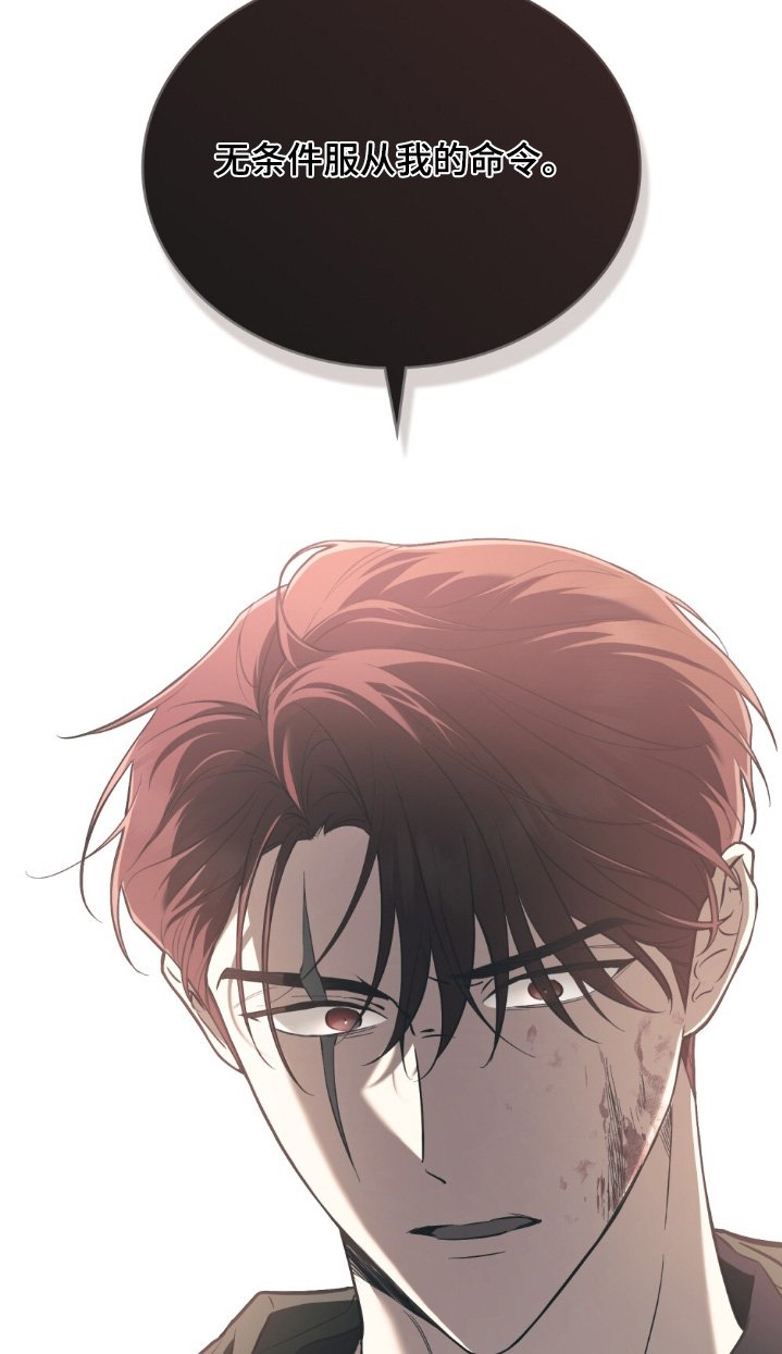 第22章：命令