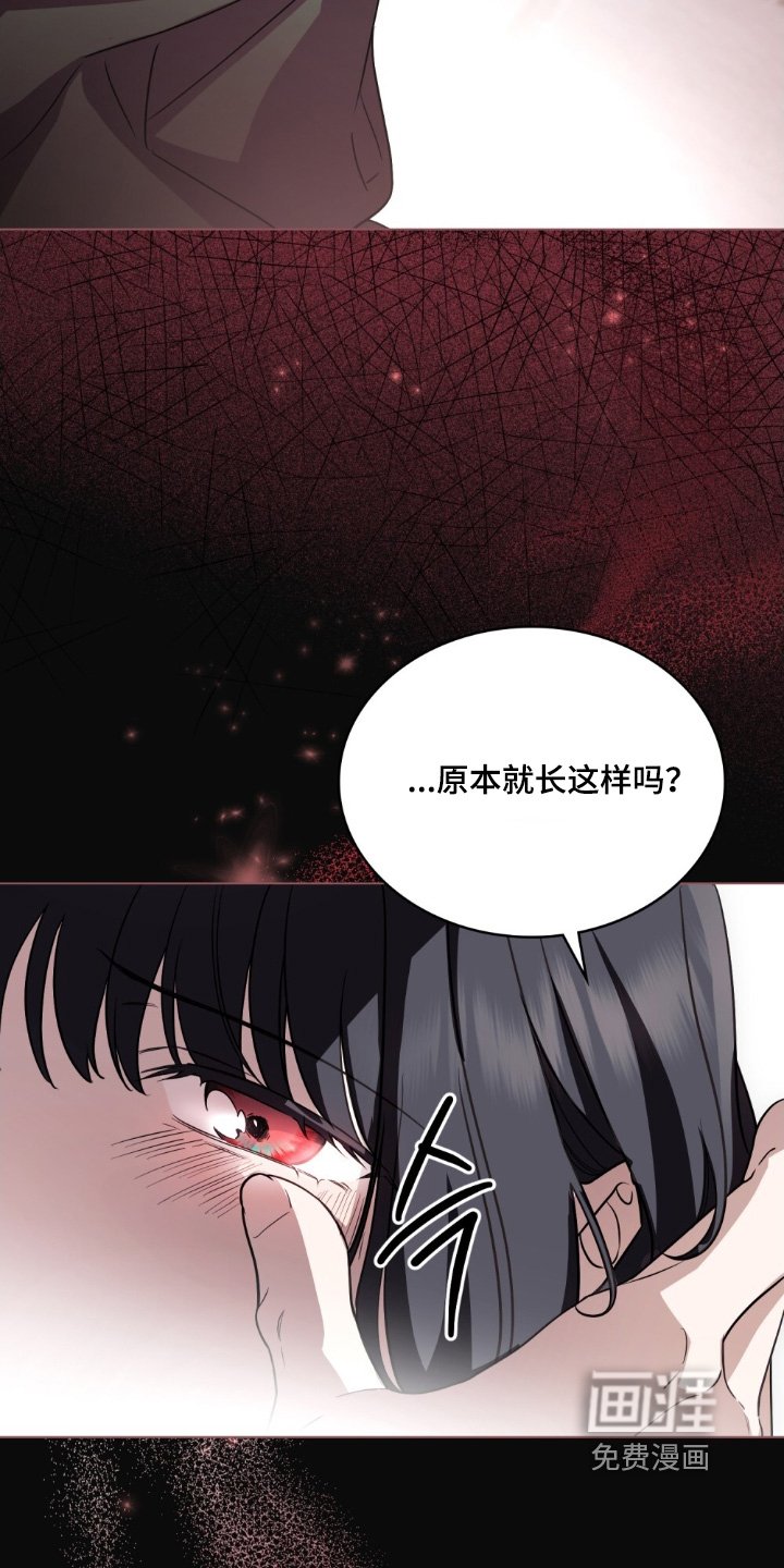第24章：想拥有