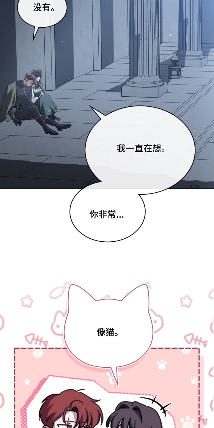 第36章：喜欢猫