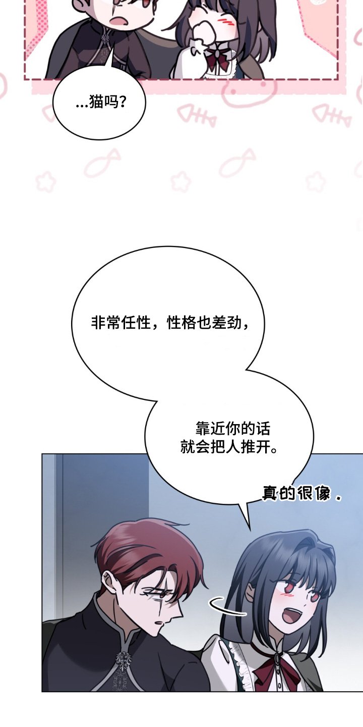 第36章：喜欢猫