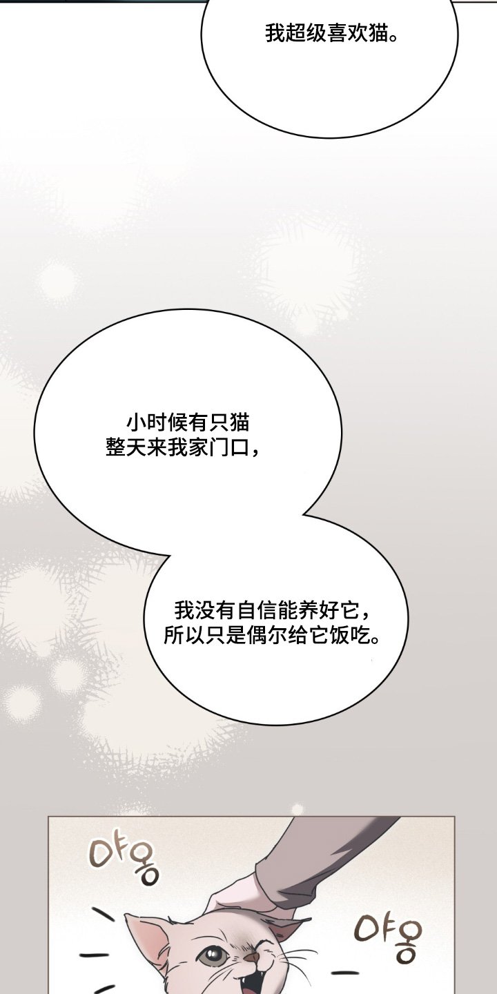 第36章：喜欢猫