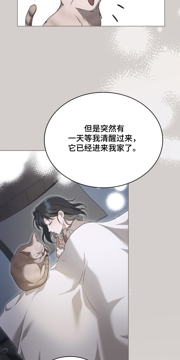 第36章：喜欢猫