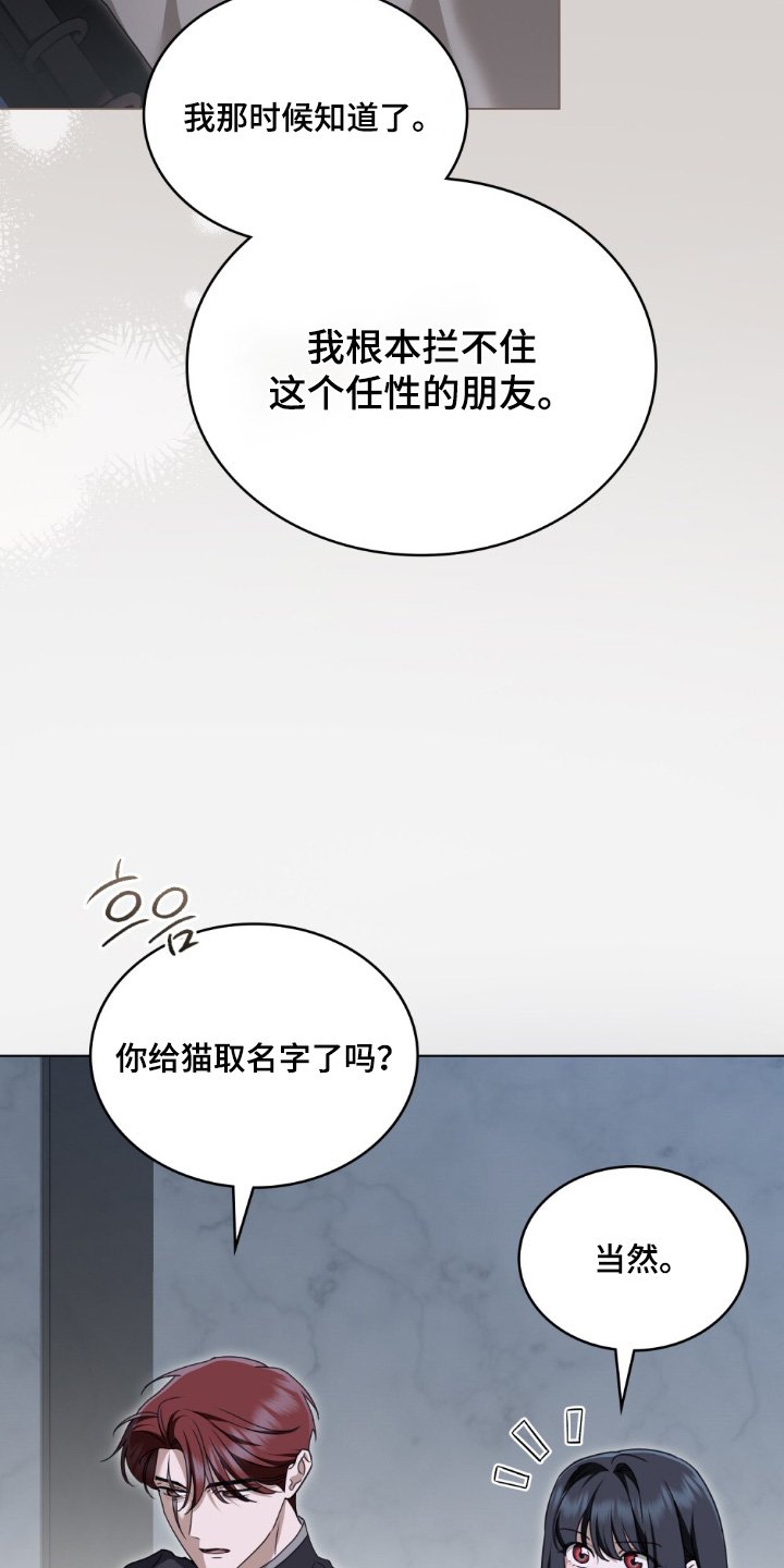 第36章：喜欢猫