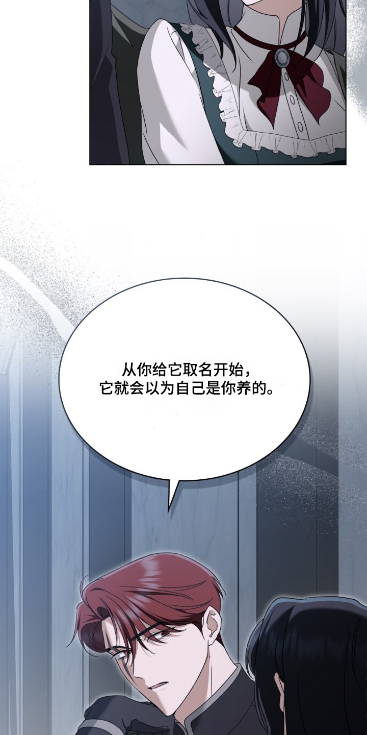 第36章：喜欢猫