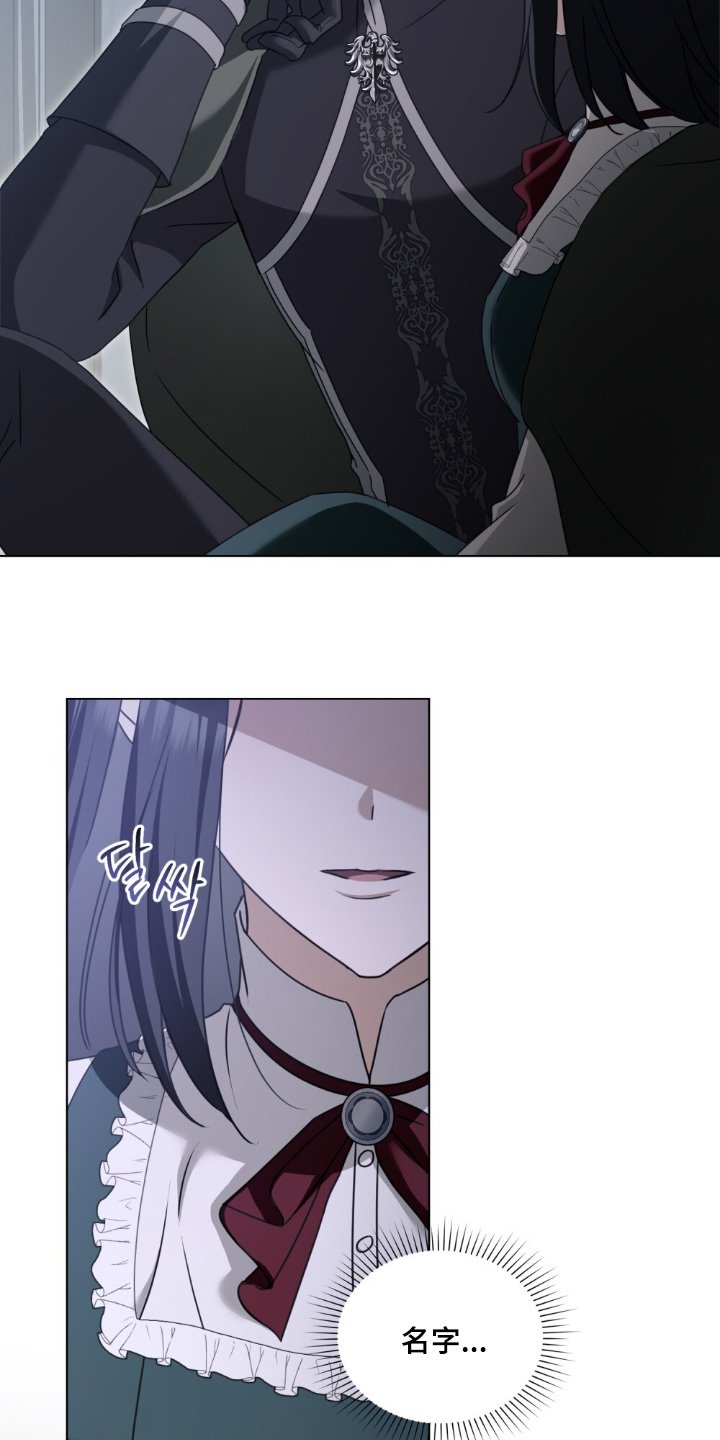 第36章：喜欢猫