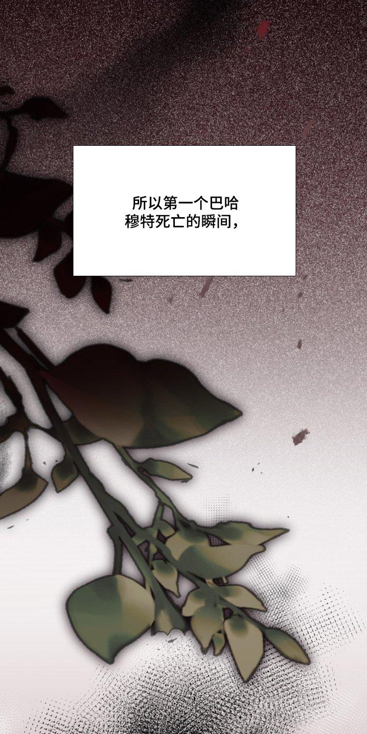 第36章：喜欢猫