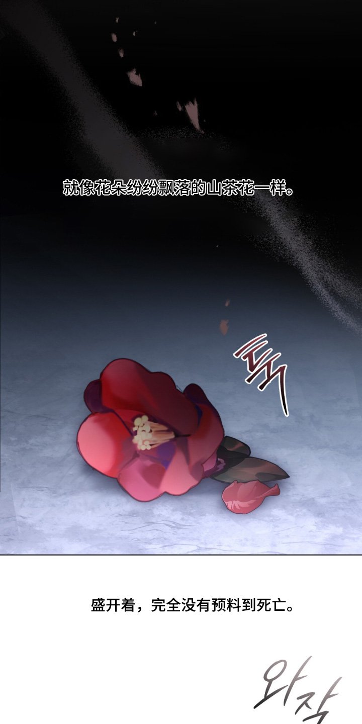 第36章：喜欢猫