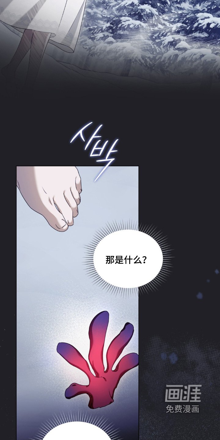 第37章：幻想