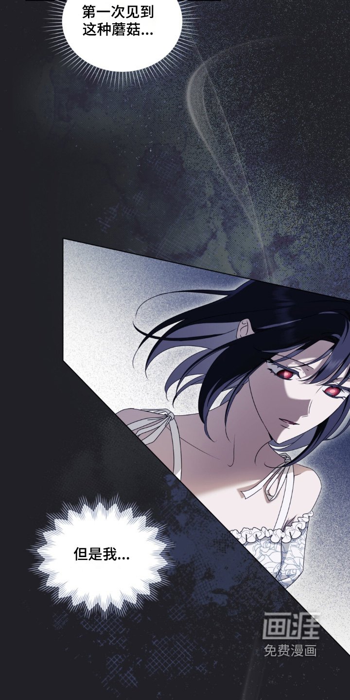 第37章：幻想