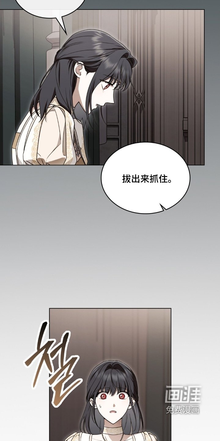 第47章：你来试试