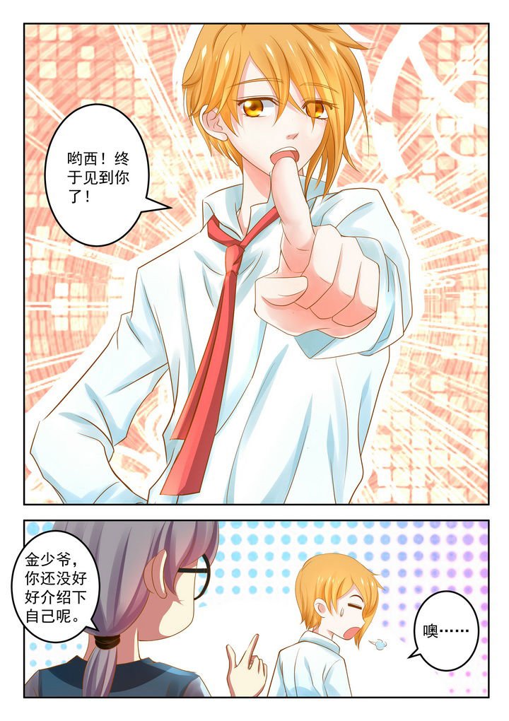 第11章：