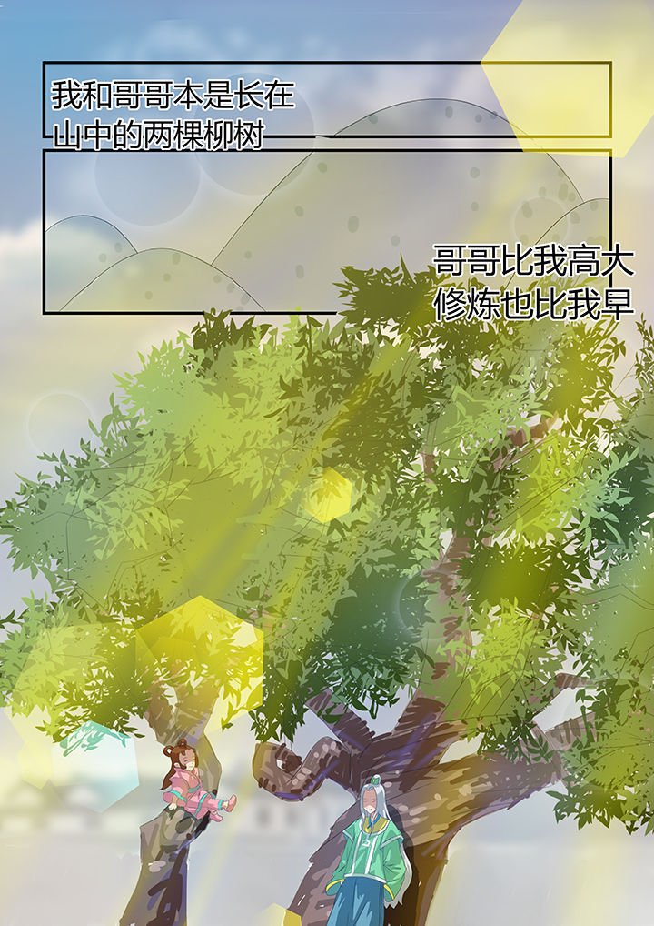第13章：