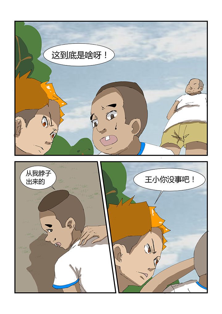 第31章：