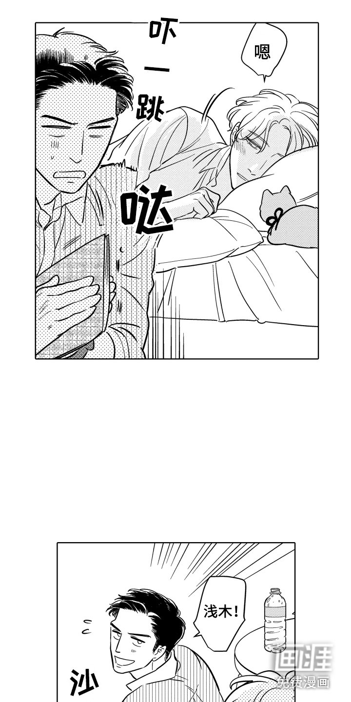 第14章：相册