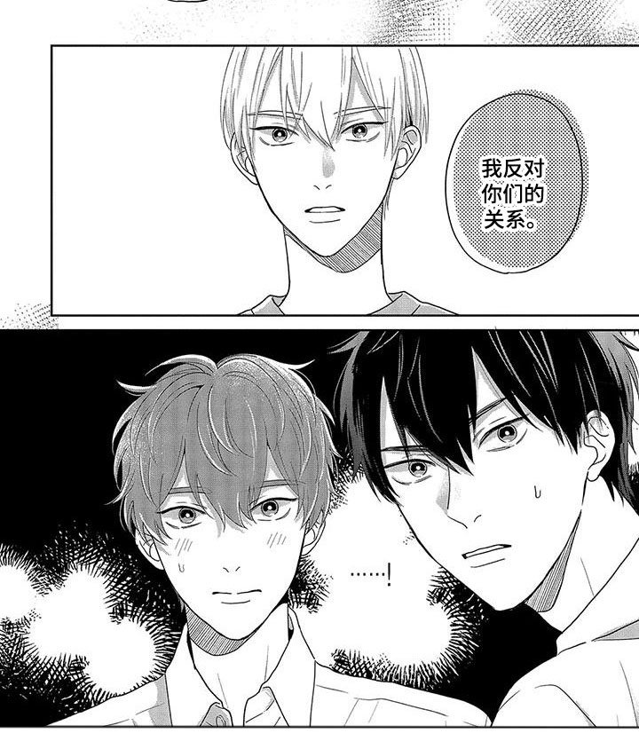 第15章：反对