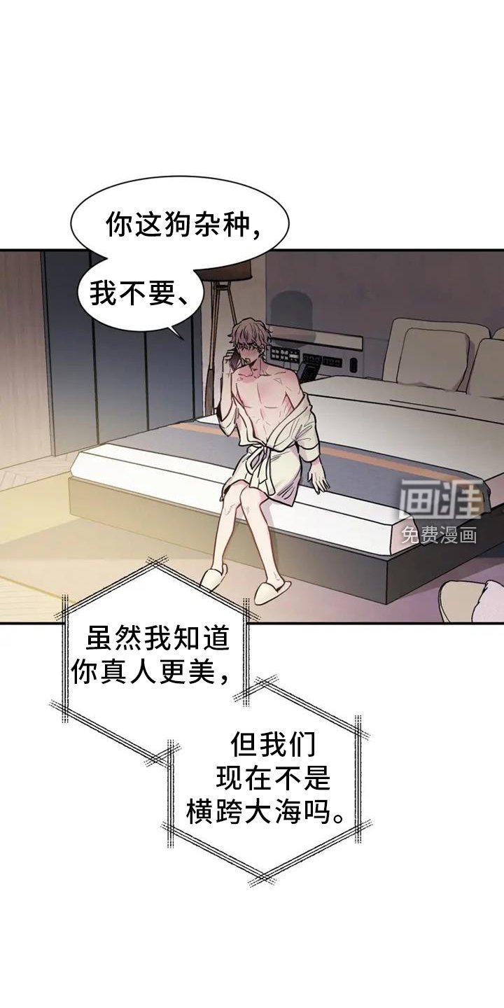 第62章：电话交流