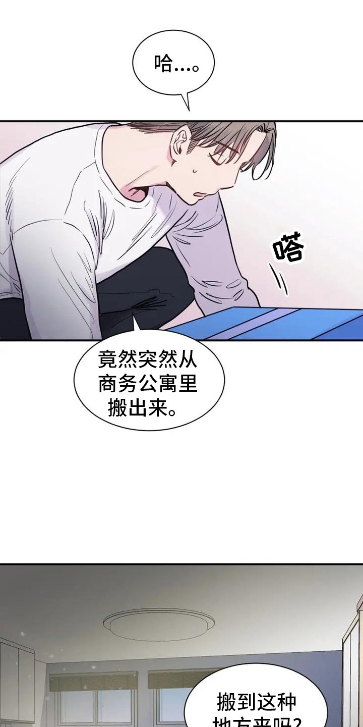第65章：恋爱