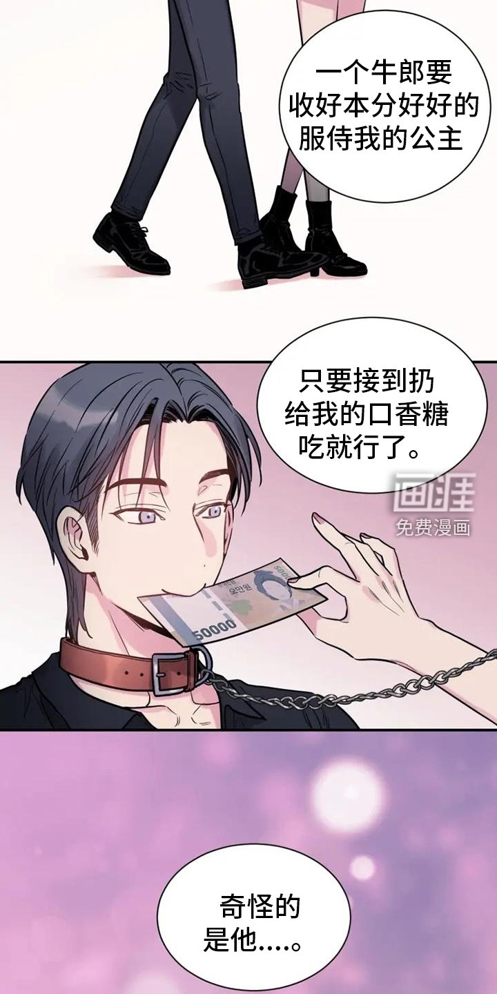 第67章：静观其变