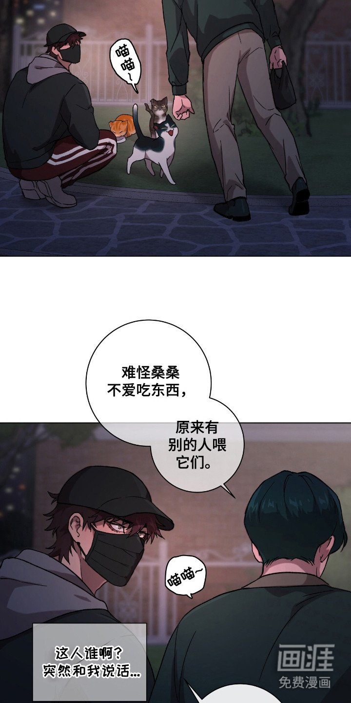 第1章：流浪猫