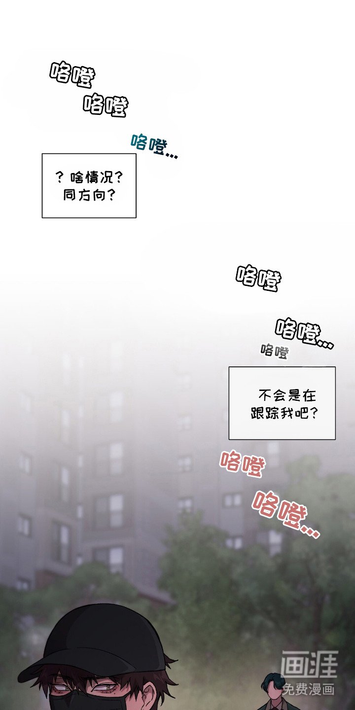 第1章：流浪猫