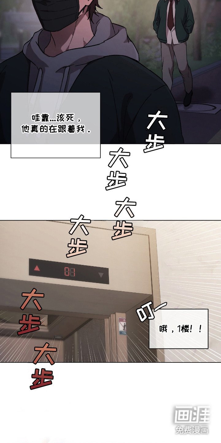 第1章：流浪猫