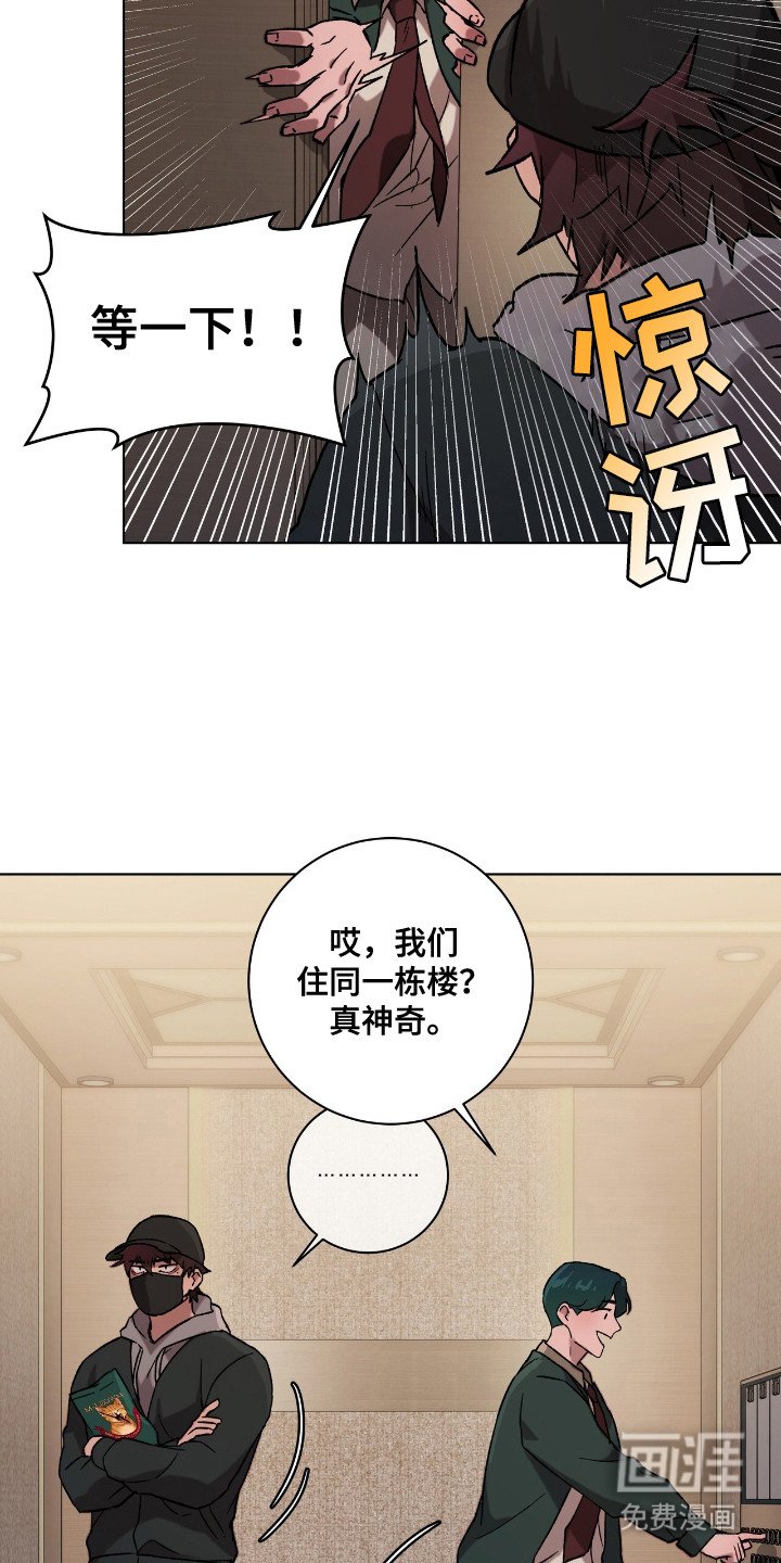 第1章：流浪猫