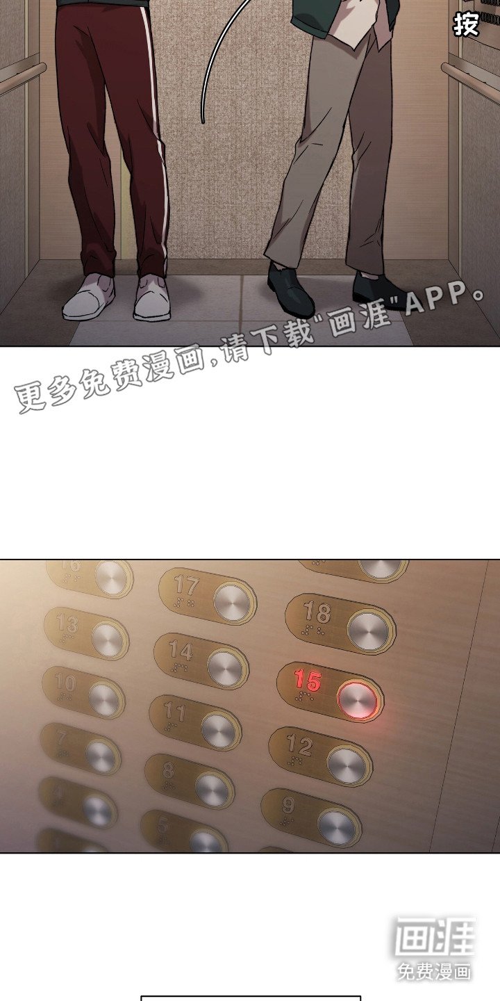 第1章：流浪猫
