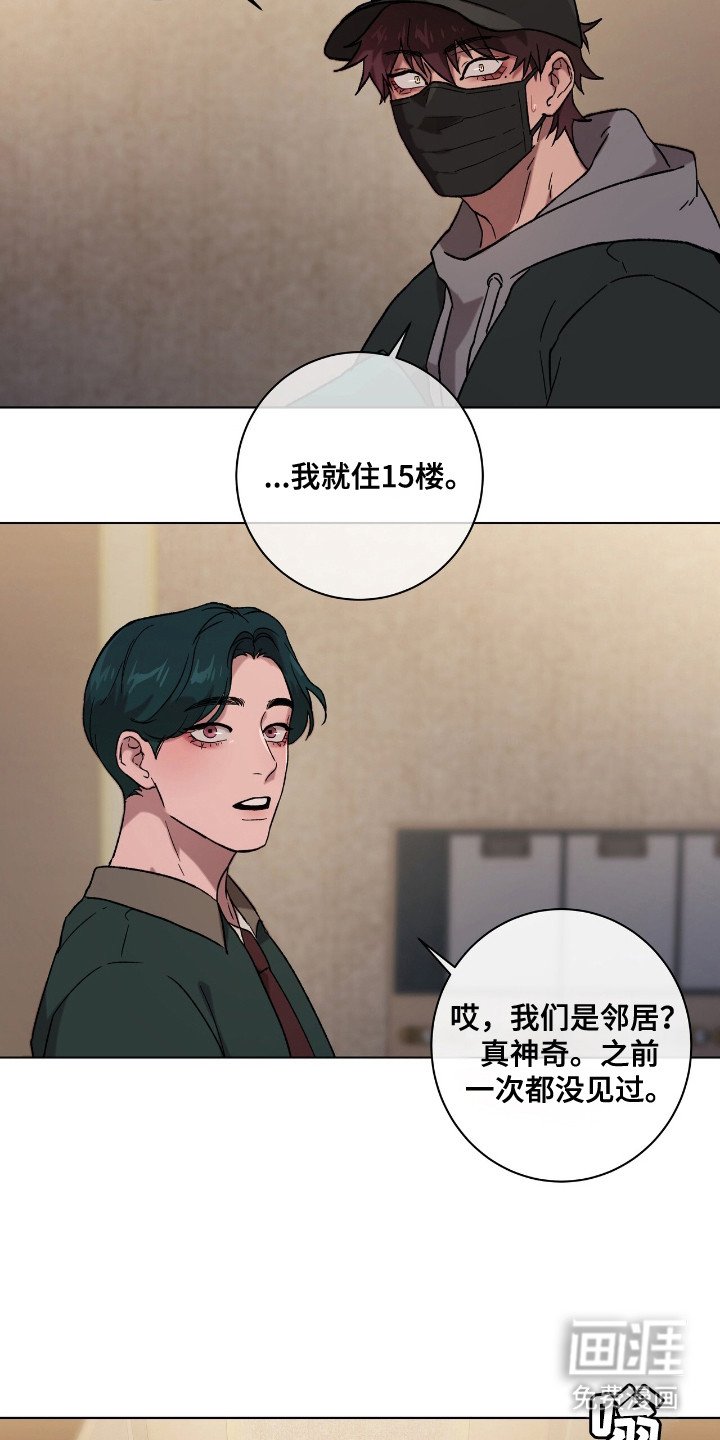 第1章：流浪猫