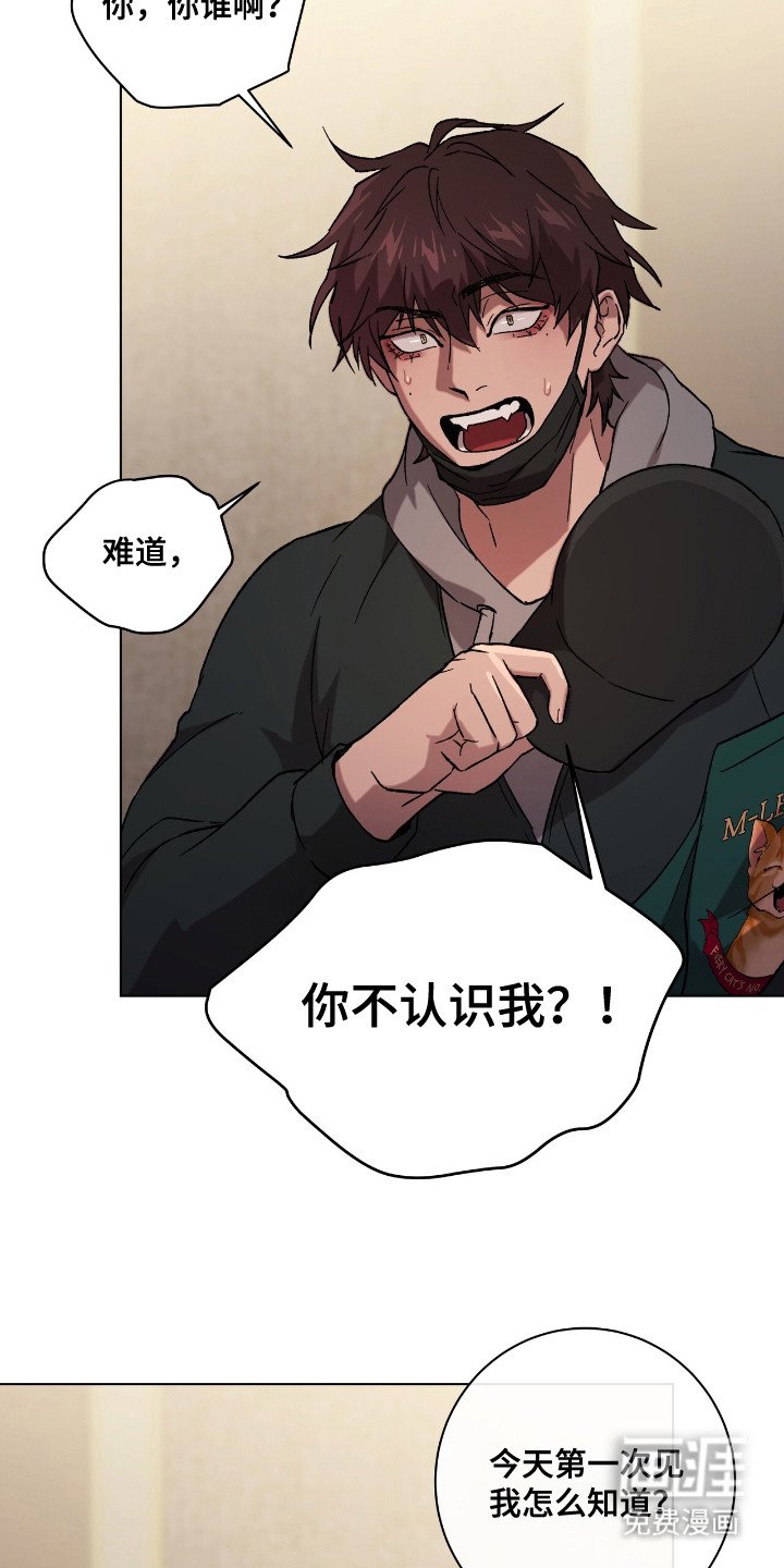 第1章：流浪猫
