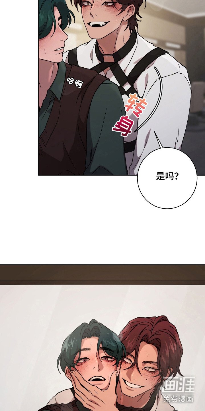 第12章：变得奇怪